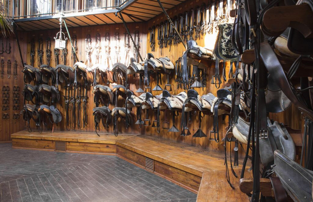 Reale Scuola Andalusa d'Arte Equestre