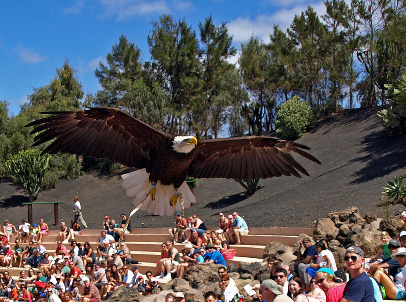 Rancho Texas Lanzarote Park: Entrada