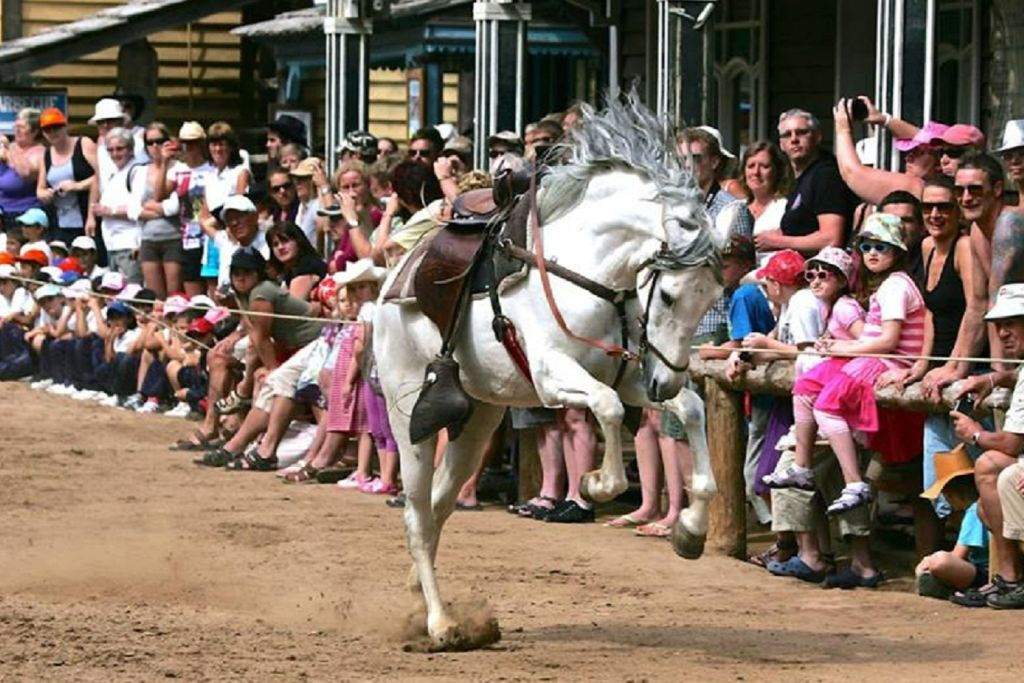 Parc de Sioux City: Billet coupe-file