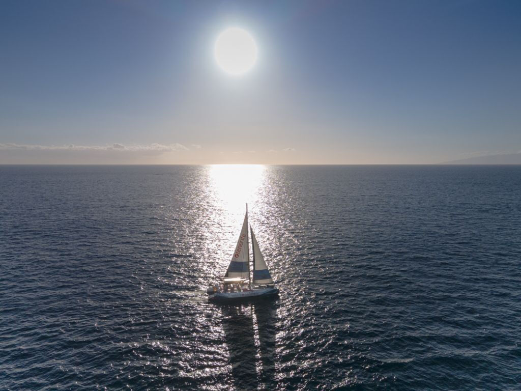 Observação de Baleias Tenerife em um Ecocatamarã