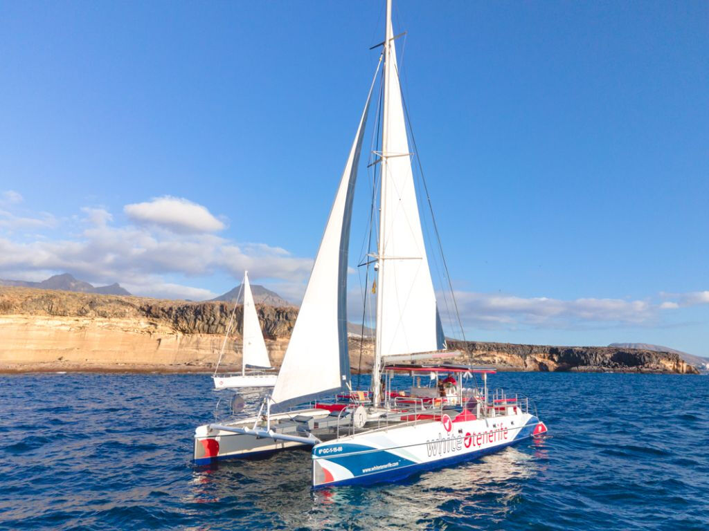 Avistamiento y escucha de ballenas y delfines en velero
