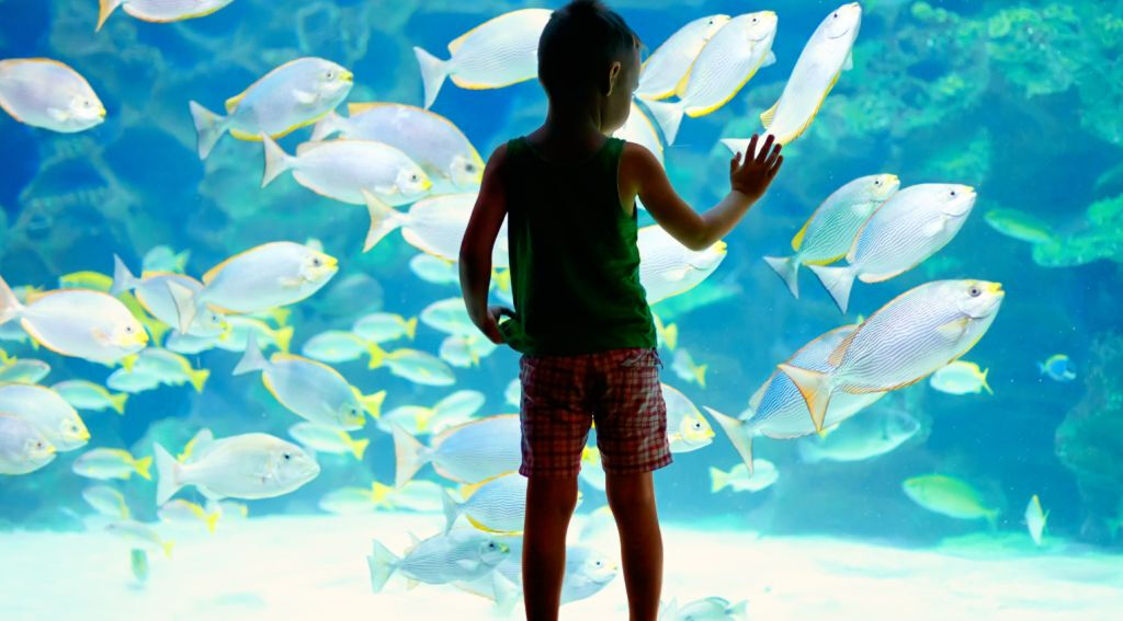 Acuario de Lanzarote: Entrada sin colas