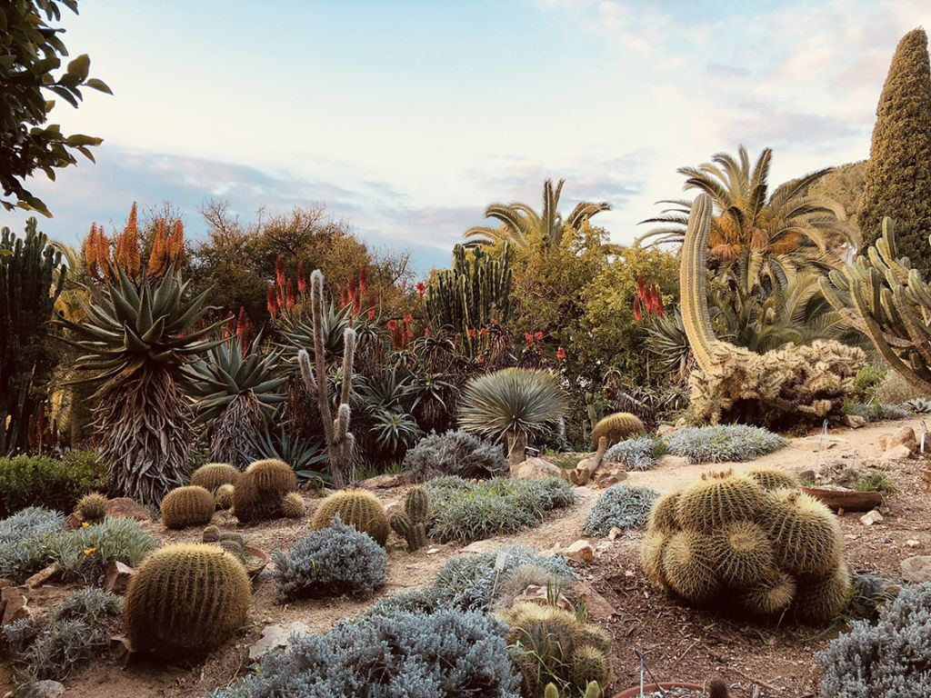 Jardin botanique de Marimurtra
