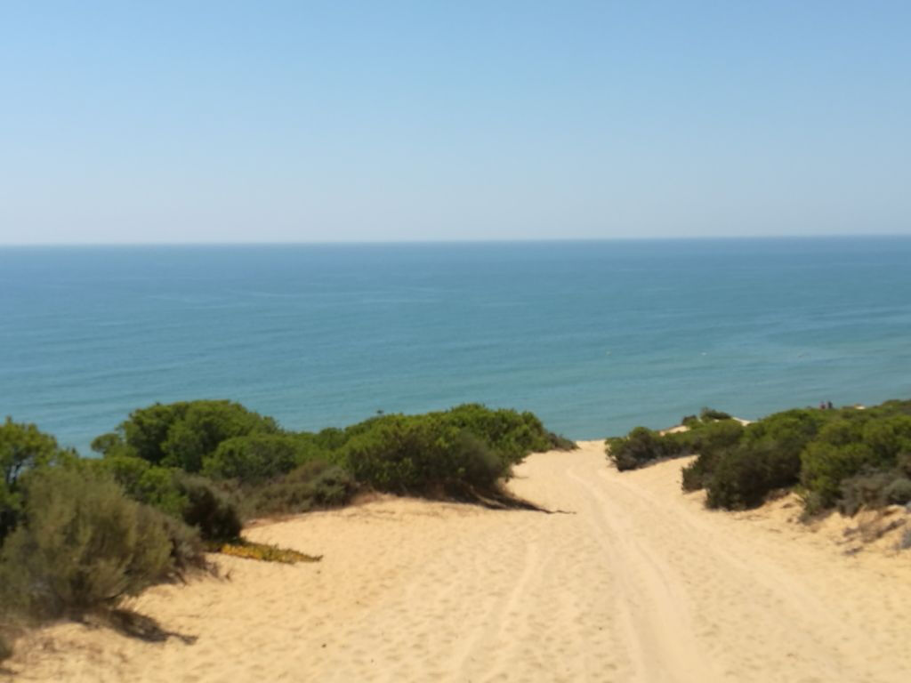 Parc national de Doñana et El Rocío : excursion d'une journée depuis Séville