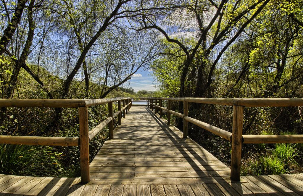 Parque Nacional de Doñana e El Rocío: excursão a partir de Sevilha