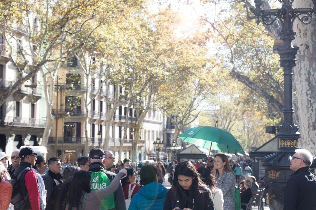 Barcelona: Visita a la ciudad por la mañana