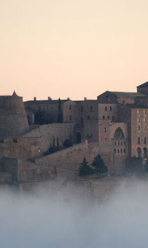 Castle of Cardona: Guided Visit