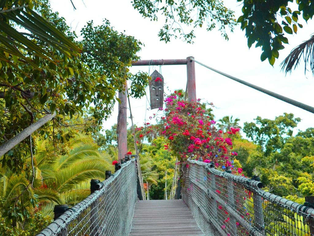 Jungle Park