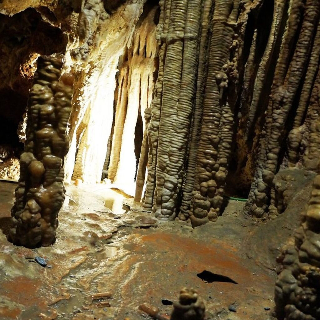 Cuevas de Génova: Entrada sin colas