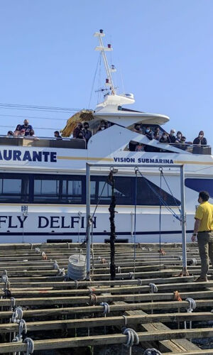 Crucero por las Rías Baixas: Ruta de los Mejillones