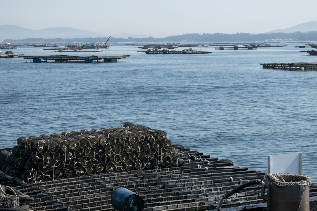 Crociera Rías Baixas: Itinerario delle Cozze