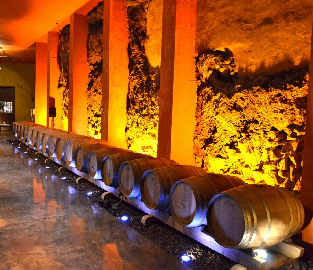 Bodegas Monje : visite d'une cave et dégustation de vins