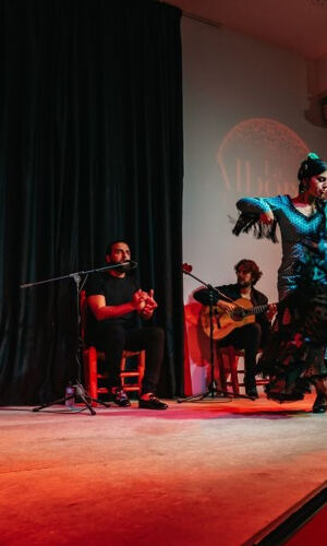 Tablao La Alboreá Granada: Flamenco Show