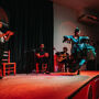 Tablao La Alboreá Granada : Spectacle de flamenco