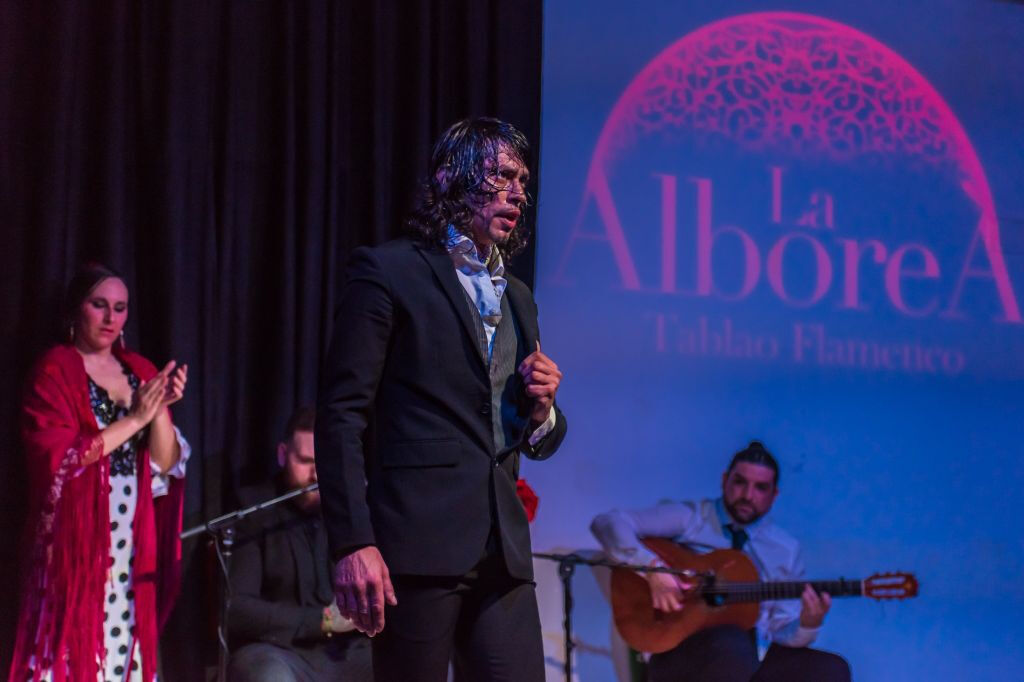 Tablao La Alboreá Granada: Flamenco Show
