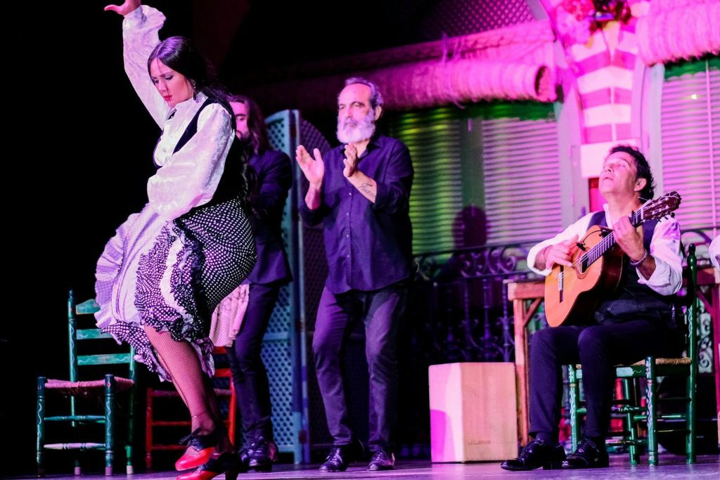Palacio del Embrujo Seville: Flamenco Show