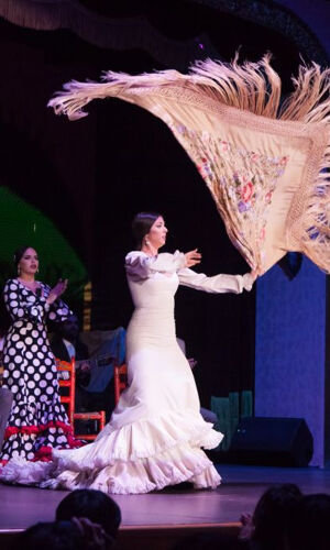 Palacio del Embrujo Sevilla: Espectáculo Flamenco