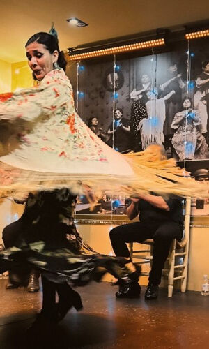 La Cantaora Sevilla: Espectáculo Flamenco