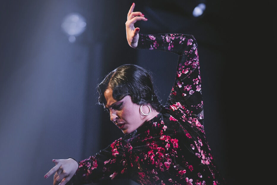 Casa Ana Granada: Espectáculo Flamenco Tradicional