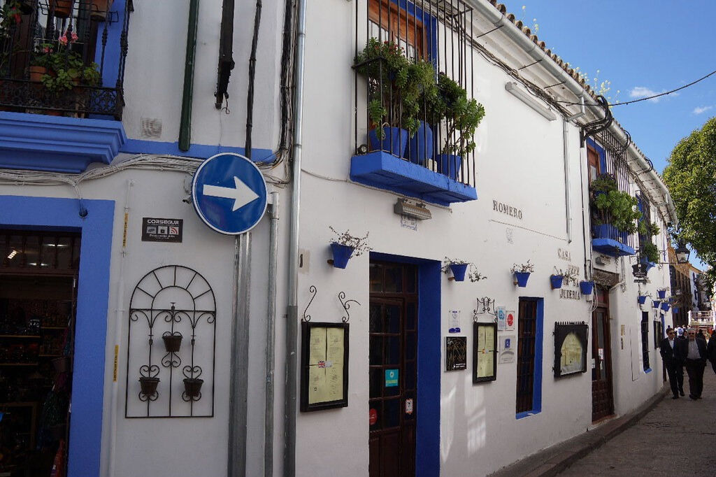 Recorrido guiado a pie por lo más destacado de Córdoba