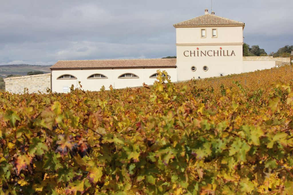 Bodega Doña Felisa: Visita guiada y cata de vinos o comida