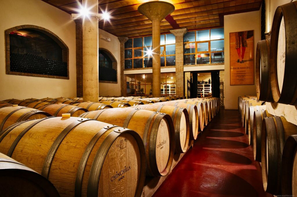 Bodega Doña Felisa : visite guidée & dégustation de vin ou déjeuner