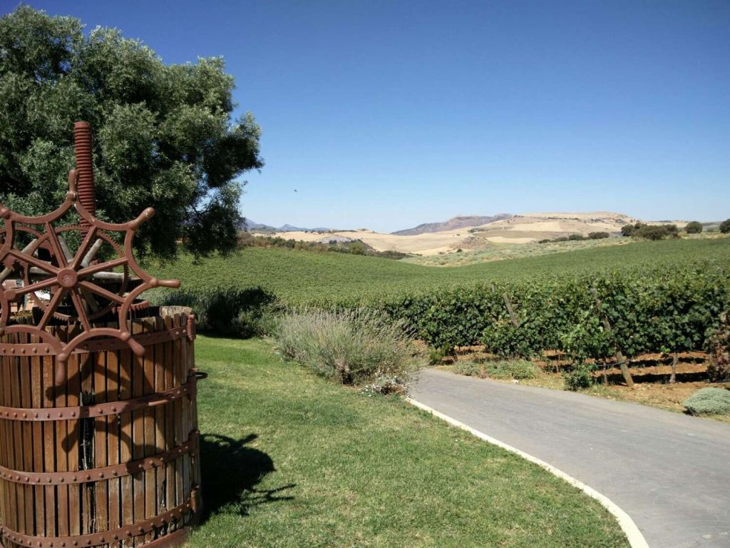 Bodega Doña Felisa : visite guidée & dégustation de vin ou déjeuner
