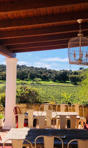 Bodega Doña Felisa: Visita guiada y cata de vinos o comida