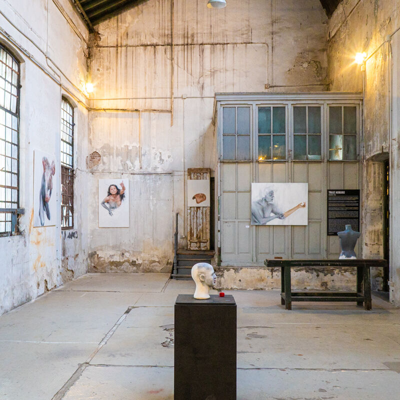 CAV La Neomudéjar Museum