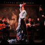 Madrid: Flamenco Show at Corral de la Moreria