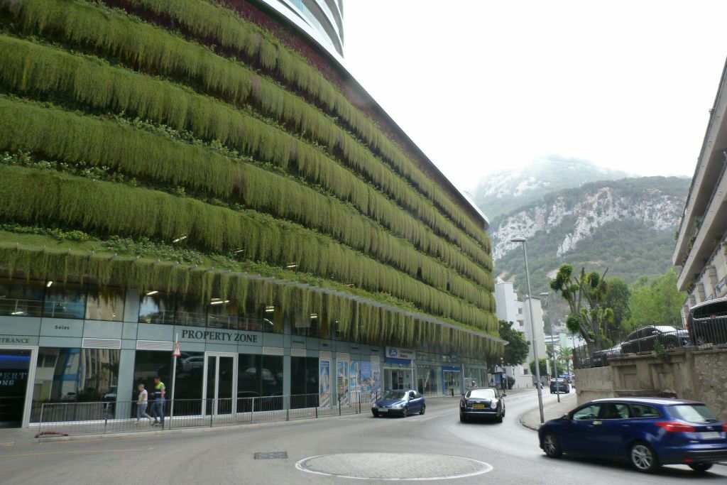 Desde Málaga: Excursión de un día a Gibraltar